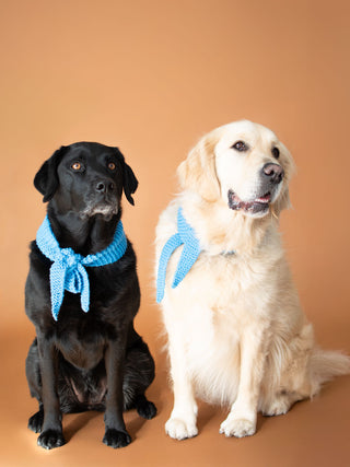 Pupperchief Dog Scarf Knit Kit