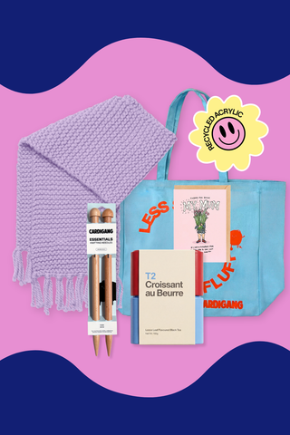 The Beginner Knitter Gift Set