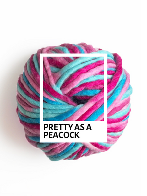 Multi-Coloured Archie Beanie Knit Kit