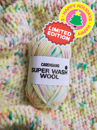 Chunky Superwash Australian Merino | Fairy Bread