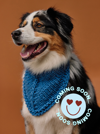 COMING SOON: The Woofgang Dog Bandana Knit Kit