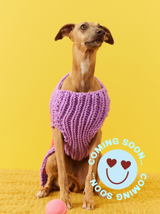 COMING SOON: The Woofgang Dog Sweater Knit Kit