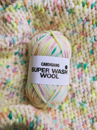 Chunky Superwash Australian Merino | Fairy Bread