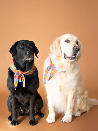 Pupperchief Dog Scarf Knit Kit